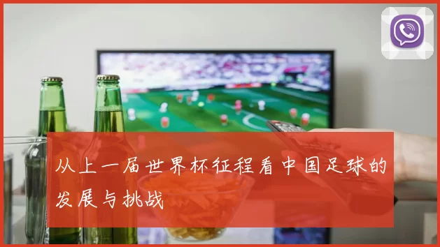 从上一届世界杯征程看中国足球的发展与挑战