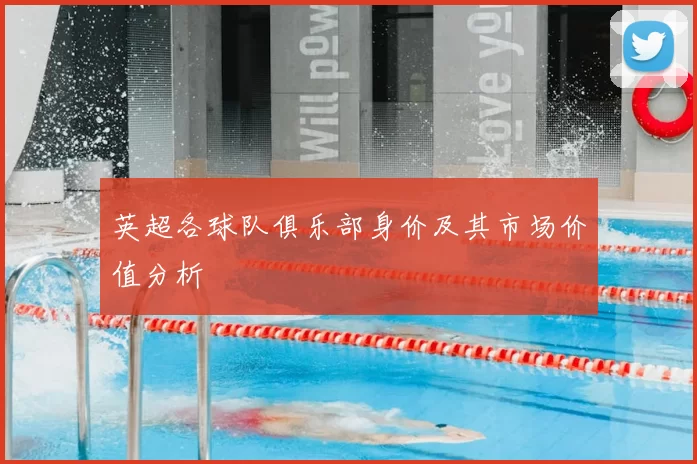 英超各球队俱乐部身价及其市场价值分析