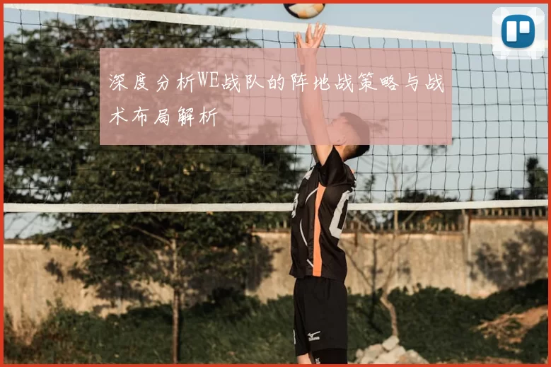 深度分析WE战队的阵地战策略与战术布局解析