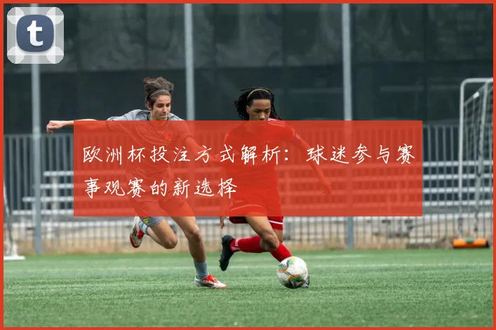 欧洲杯投注方式解析:球迷参与赛事观赛的新选择