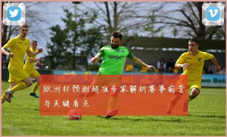 欧洲杯预测超准专家解析赛事前景与关键看点