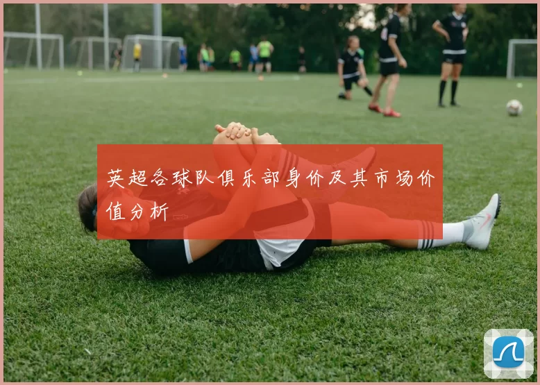 英超各球队俱乐部身价及其市场价值分析