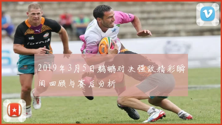 2019年3月5日鹈鹕对决强敌精彩瞬间回顾与赛后分析