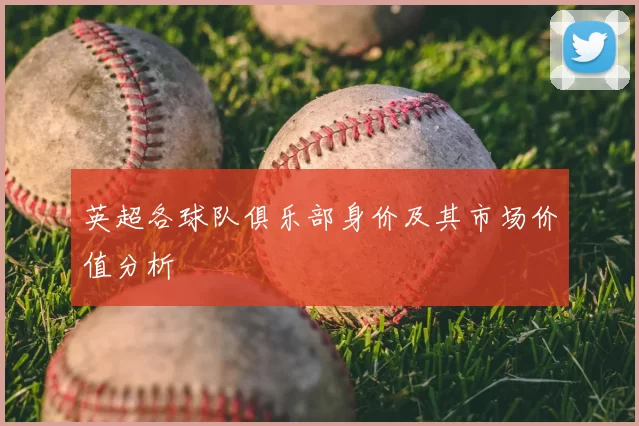 英超各球队俱乐部身价及其市场价值分析