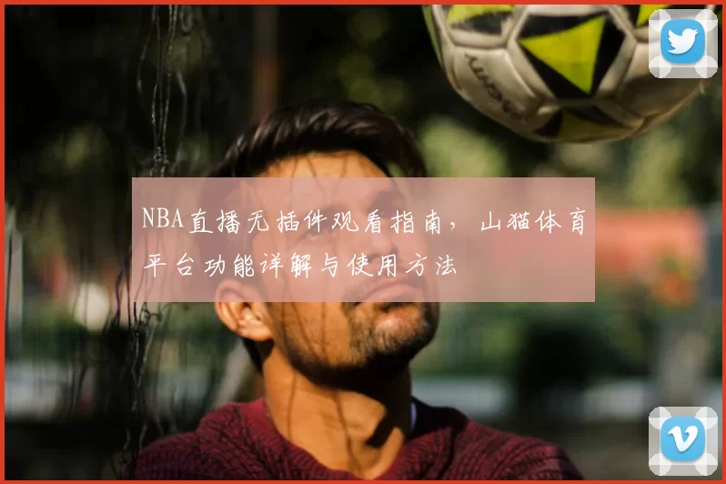 NBA直播无插件观看指南，山猫体育平台功能详解与使用方法
