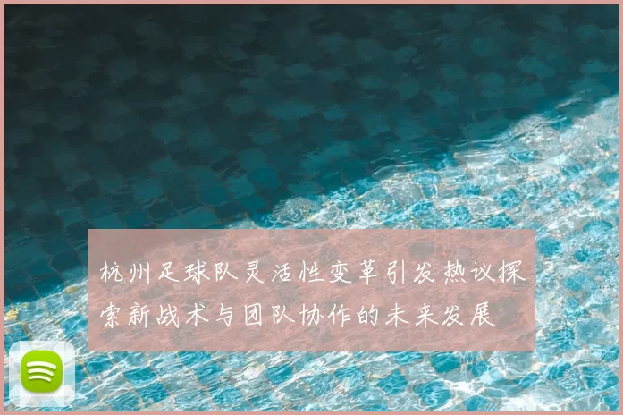 杭州足球队灵活性变革引发热议探索新战术与团队协作的未来发展