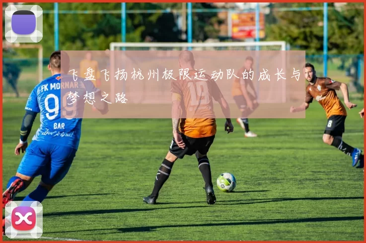 飞盘飞扬杭州极限运动队的成长与梦想之路