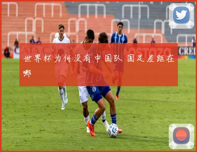 世界杯为何没有中国队 国足差距在哪