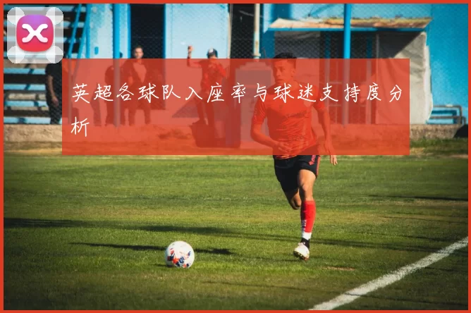 英超各球队入座率与球迷支持度分析