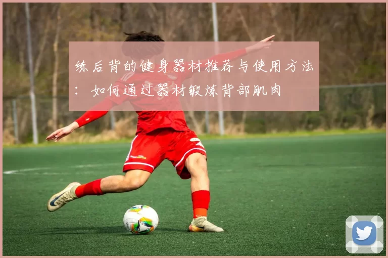 练后背的健身器材推荐与使用方法：如何通过器材锻炼背部肌肉