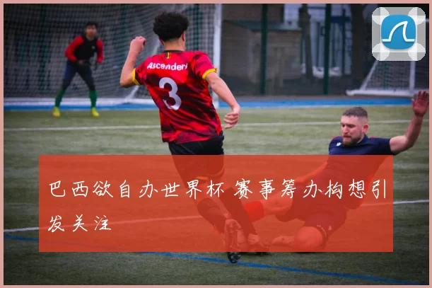 巴西欲自办世界杯 赛事筹办构想引发关注