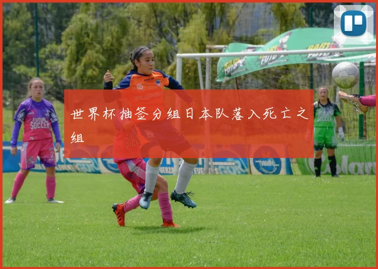 世界杯抽签分组日本队落入死亡之组