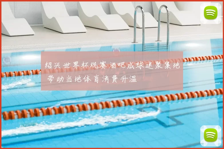 绍兴世界杯观赛酒吧成球迷聚集地 带动当地体育消费升温