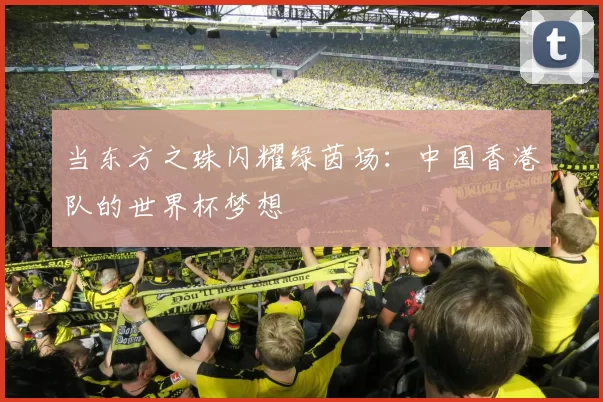 当东方之珠闪耀绿茵场：中国香港队的世界杯梦想